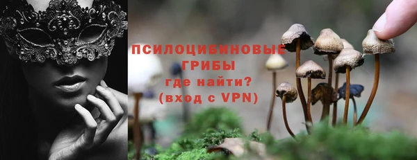 дмт Балахна
