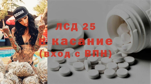 ГАЛЛЮЦИНОГЕННЫЕ ГРИБЫ Остров