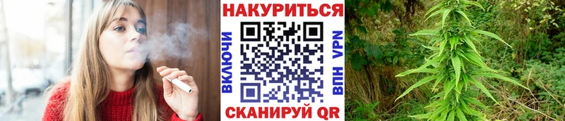 купить закладку  Шарья  Конопля сатива 