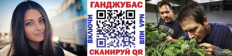 Канабис VHQ Шарья